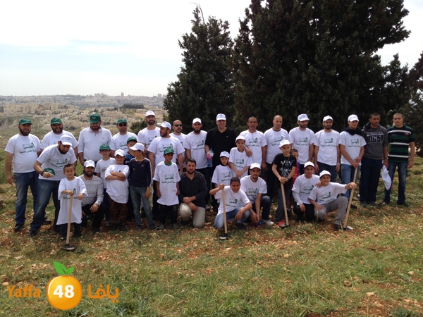 ludandyaffazaitoon (45).JPG